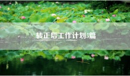 转正后工作计划5篇