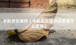 手机音乐缓存（手机音乐缓存设置是什么意思）