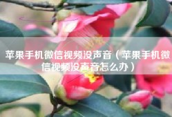 苹果手机微信视频没声音（苹果手机微信视频没声音怎么办）
