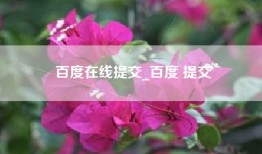 百度在线提交_百度 提交