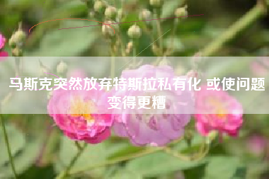马斯克突然放弃特斯拉私有化 或使问题变得更糟
