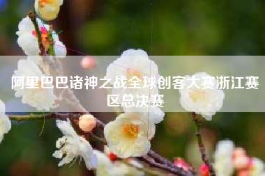 阿里巴巴诸神之战全球创客大赛浙江赛区总决赛
