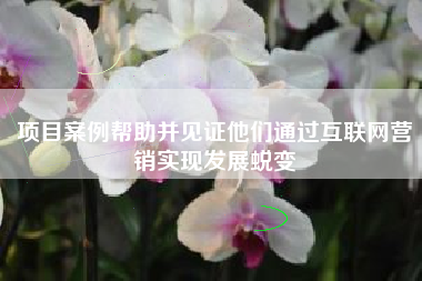 项目案例帮助并见证他们通过互联网营销实现发展蜕变