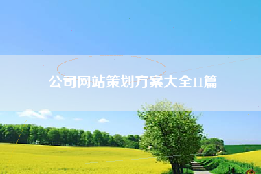 公司网站策划方案大全11篇