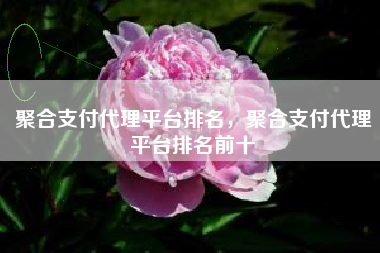 聚合支付代理平台排名，聚合支付代理平台排名前十