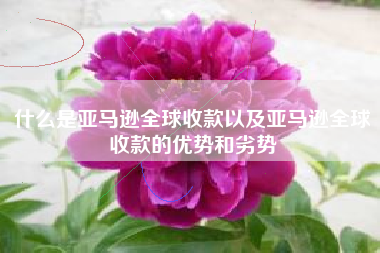 什么是亚马逊全球收款以及亚马逊全球收款的优势和劣势