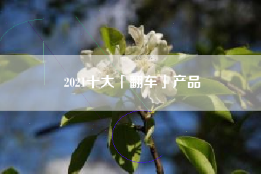 2021十大「翻车」产品
