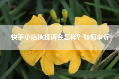 快手小店被投诉会怎样?如何申诉 快手小店被投诉会怎样?如何申诉