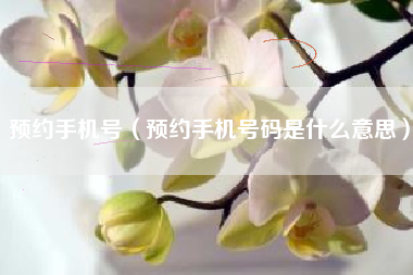 预约手机号（预约手机号码是什么意思）