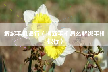 解绑手机银行（换新手机怎么解绑手机银行）