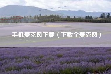 手机麦克风下载（下载个麦克风）