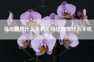 马化腾用什么手机（马化腾用什么手机卡）