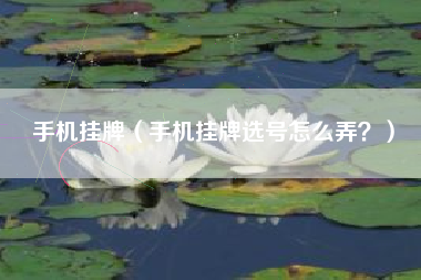 手机挂牌（手机挂牌选号怎么弄？）