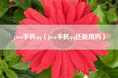 java手机qq（java手机qq还能用吗）
