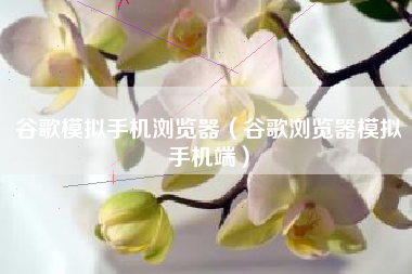 谷歌模拟手机浏览器（谷歌浏览器模拟手机端）