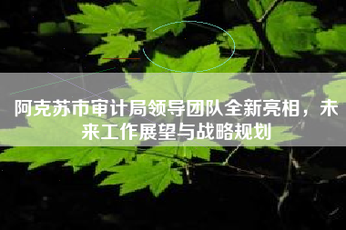 阿克苏市审计局领导团队全新亮相，未来工作展望与战略规划