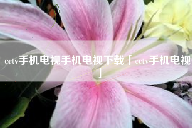 cctv手机电视手机电视下载「cctv手机电视」 cctv手机电视手机电视下载「cctv手机电视」