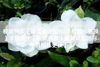 权限列表【最美桌面图标-手机图标更换】手机美化「权限列表【最美桌面图标-手机图标更换】」