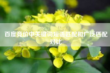 百度竞价中关键词短语匹配和广泛匹配对比