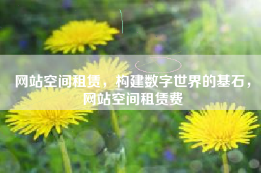 网站空间租赁，构建数字世界的基石，网站空间租赁费