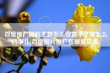 百度推广图片主题怎么设置不了呢怎么回事儿(百度图片推广在哪里设置)